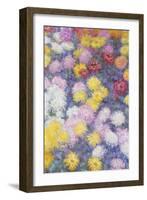 Chrysanthemums, 1897-Claude Monet-Framed Giclee Print