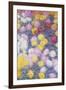 Chrysanthemums, 1897-Claude Monet-Framed Giclee Print