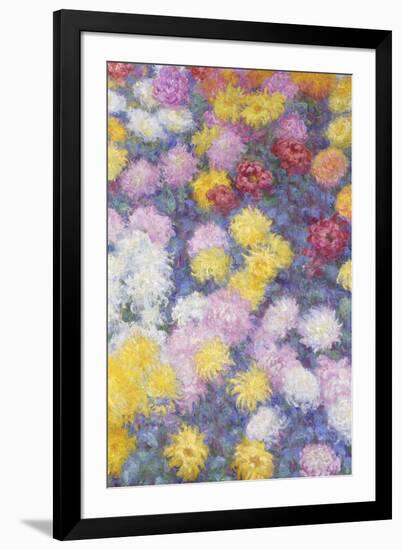 Chrysanthemums, 1897-Claude Monet-Framed Giclee Print