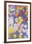 Chrysanthemums, 1897-Claude Monet-Framed Giclee Print