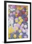 Chrysanthemums, 1897-Claude Monet-Framed Giclee Print