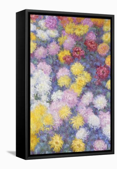 Chrysanthemums, 1897-Claude Monet-Framed Stretched Canvas