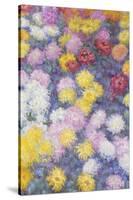 Chrysanthemums, 1897-Claude Monet-Stretched Canvas