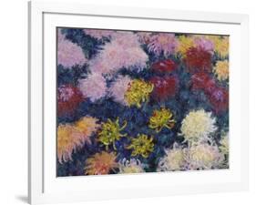 Chrysanthemums, 1897-Claude Monet-Framed Giclee Print