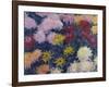 Chrysanthemums, 1897-Claude Monet-Framed Giclee Print