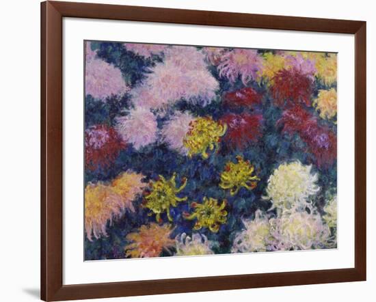 Chrysanthemums, 1897-Claude Monet-Framed Giclee Print