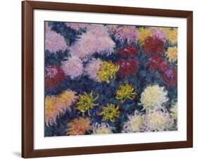 Chrysanthemums, 1897-Claude Monet-Framed Giclee Print