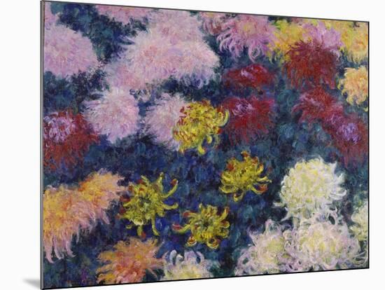 Chrysanthemums, 1897-Claude Monet-Mounted Giclee Print