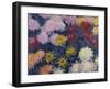 Chrysanthemums, 1897-Claude Monet-Framed Giclee Print