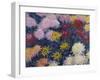 Chrysanthemums, 1897-Claude Monet-Framed Giclee Print