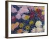 Chrysanthemums, 1897-Claude Monet-Framed Giclee Print