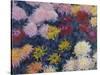 Chrysanthemums, 1897-Claude Monet-Stretched Canvas