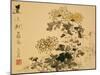 Chrysanthemums, A Leaf from an Album of Various Subjects-Xu Gu-Mounted Giclee Print