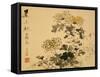 Chrysanthemums, A Leaf from an Album of Various Subjects-Xu Gu-Framed Stretched Canvas