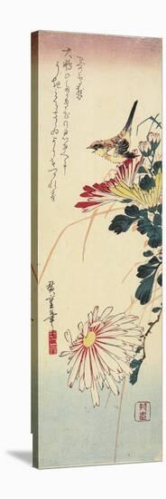 Chrysanthemums and a Shrike, 1830-1858-Utagawa Hiroshige-Stretched Canvas