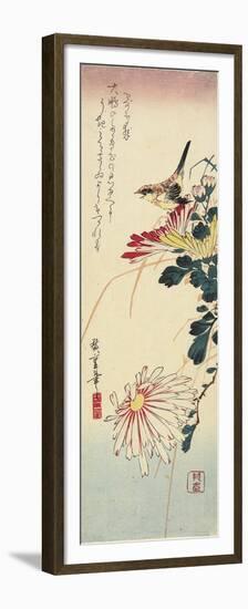 Chrysanthemums and a Shrike, 1830-1858-Utagawa Hiroshige-Framed Premium Giclee Print