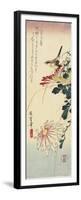 Chrysanthemums and a Shrike, 1830-1858-Utagawa Hiroshige-Framed Premium Giclee Print