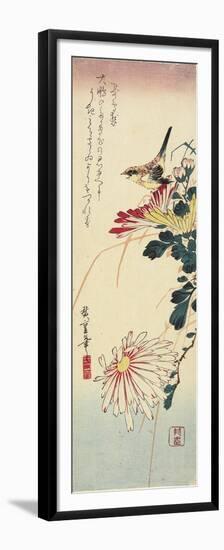 Chrysanthemums and a Shrike, 1830-1858-Utagawa Hiroshige-Framed Premium Giclee Print