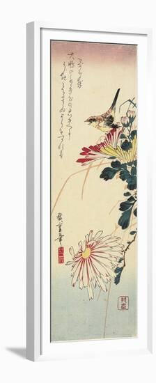 Chrysanthemums and a Shrike, 1830-1858-Utagawa Hiroshige-Framed Premium Giclee Print