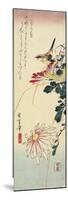Chrysanthemums and a Shrike, 1830-1858-Utagawa Hiroshige-Mounted Premium Giclee Print