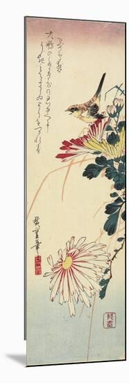 Chrysanthemums and a Shrike, 1830-1858-Utagawa Hiroshige-Mounted Premium Giclee Print