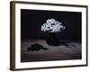 Chrysanthemums and Gloves, 2008-James Gillick-Framed Giclee Print