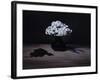 Chrysanthemums and Gloves, 2008-James Gillick-Framed Giclee Print