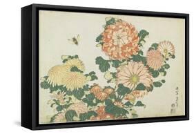 Chrysanthemums and Horsefly, C. 1832-Katsushika Hokusai-Framed Stretched Canvas