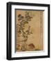 Chrysanthemums and Quail, 1702-Ma Yuanyu-Framed Giclee Print