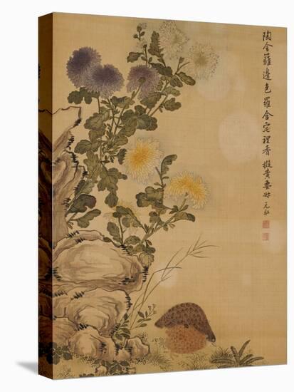 Chrysanthemums and Quail, 1702-Ma Yuanyu-Stretched Canvas