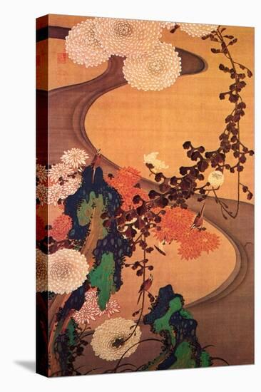 Chrysanthemums by a Stream with Rocks-Jakuchu Ito-Stretched Canvas