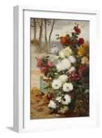 Chrysanthemums in a Walled Garden-Eugene Henri Cauchois-Framed Giclee Print