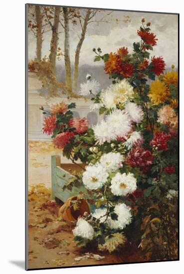 Chrysanthemums in a Walled Garden-Eugene Henri Cauchois-Mounted Giclee Print