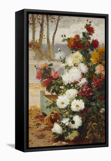 Chrysanthemums in a Walled Garden-Eugene Henri Cauchois-Framed Stretched Canvas
