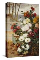 Chrysanthemums in a Walled Garden-Eugene Henri Cauchois-Stretched Canvas