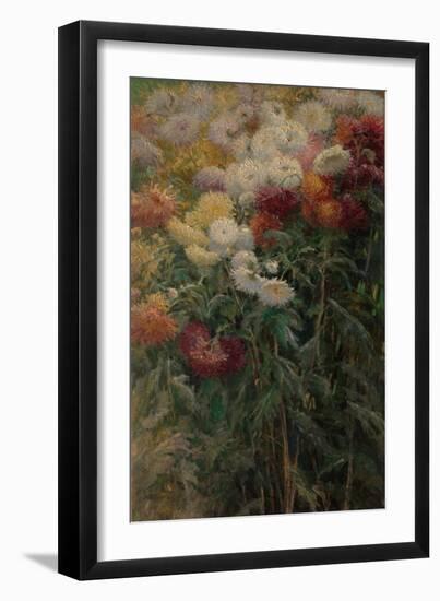 Chrysanthemums in the Garden at Petit-Gennevilliers, 1893-Gustave Caillebotte-Framed Giclee Print