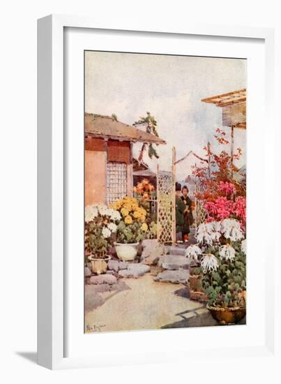 Chrysanthemums, Kyoto-Ella Du Cane-Framed Giclee Print