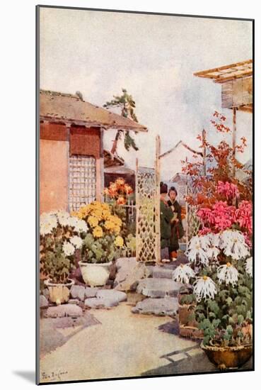 Chrysanthemums, Kyoto-Ella Du Cane-Mounted Giclee Print