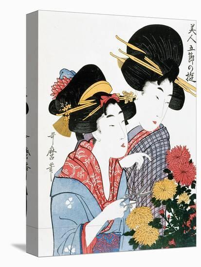 Chrysanthemums, Ukiyo-e print, Japan-Kitagawa Utamaro-Stretched Canvas