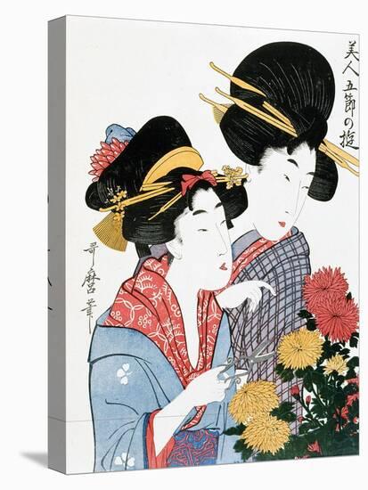 Chrysanthemums, Ukiyo-e print, Japan-Kitagawa Utamaro-Stretched Canvas