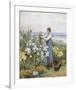 Chrysanthemums-Daniel Ridgeway Knight-Framed Premium Giclee Print