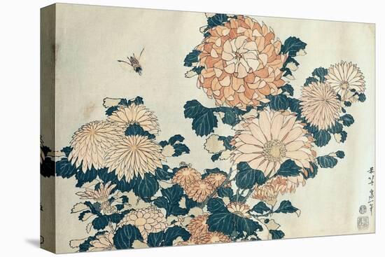 Chrysanthemums-Katsushika Hokusai-Stretched Canvas