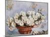 Chrysanthemums-Claude Monet-Mounted Giclee Print