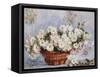 Chrysanthemums-Claude Monet-Framed Stretched Canvas