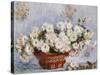 Chrysanthemums-Claude Monet-Stretched Canvas