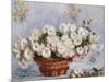 Chrysanthemums-Claude Monet-Mounted Giclee Print