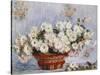 Chrysanthemums-Claude Monet-Stretched Canvas