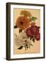 Chrysanthemums-null-Framed Giclee Print