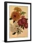 Chrysanthemums-null-Framed Giclee Print