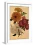 Chrysanthemums-null-Framed Giclee Print